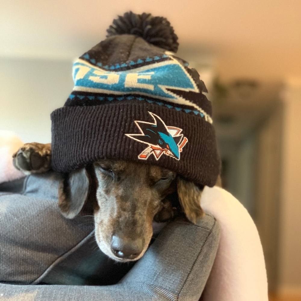 Meet your Posher, Sarsh